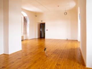 Rekonstrukce hradu (a: web)